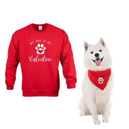 Dog And Owner Matching  Valentines Paw Sweater