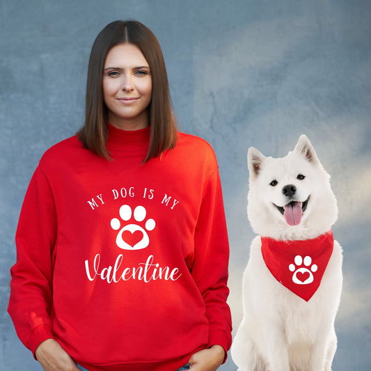 Dog And Owner Matching  Valentines Paw Sweater