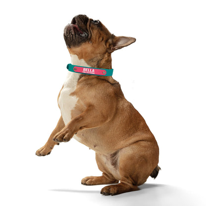 Biothane® Dog Collar