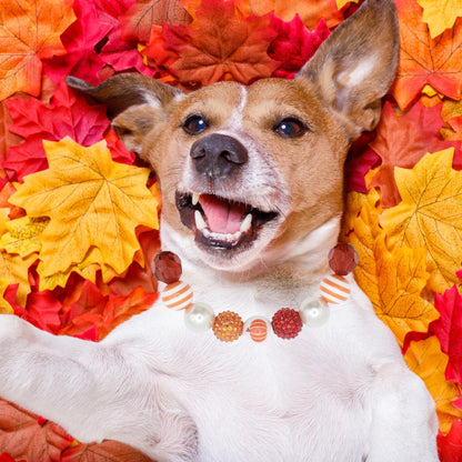 Beaded Fall collars