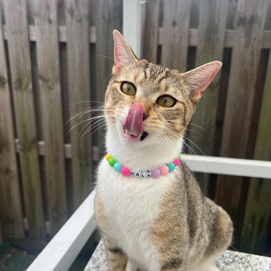 Custom fancy beaded name cat collar