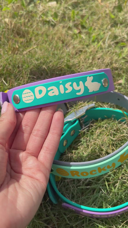 Easter Biothane® Dog Collar - Custom Name