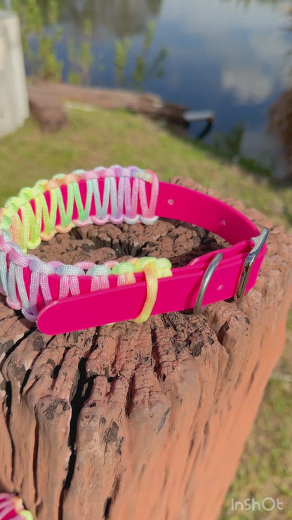 Easter Dog Collar- Biothane®