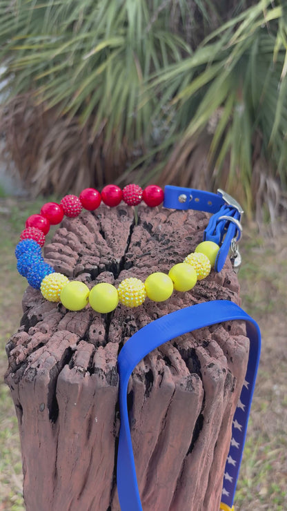 Venezuela Set - Leash and Collar