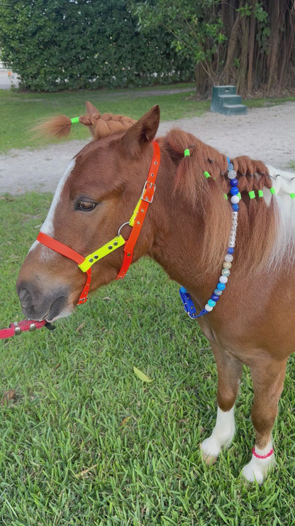 ¡Diseña tu propio collar AJUSTABLE para perros o gatos! Nombre, cuentas y correa personalizados