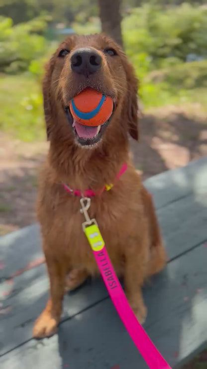Custom Name Leash for Dogs-Two tone Biothane®