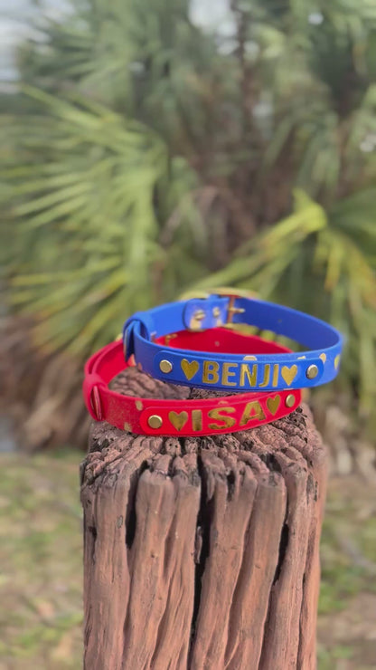 Valentines Biothane® Dog Collar - Custom Name