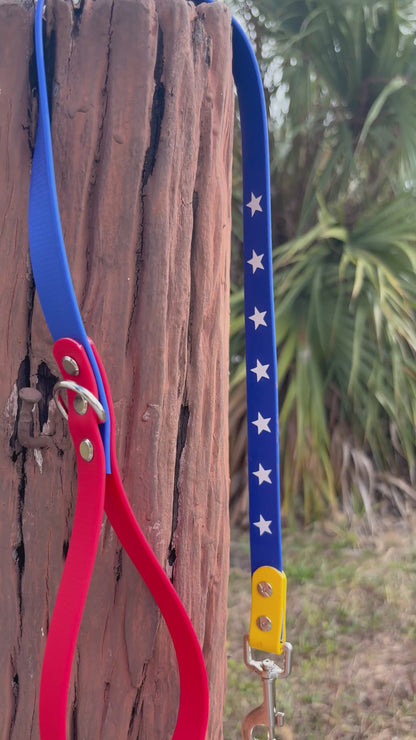 Venezuela Dog Leash- 3/4'' width