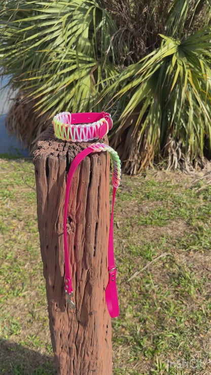 Easter leash and Collar set-Biothane®